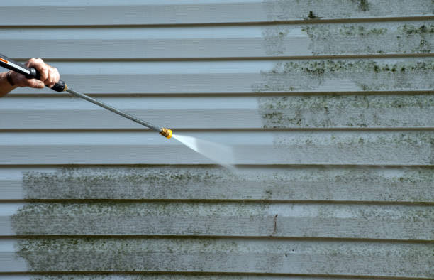 Best Driveway Pressure Washing  in Franklin Furnace, OH