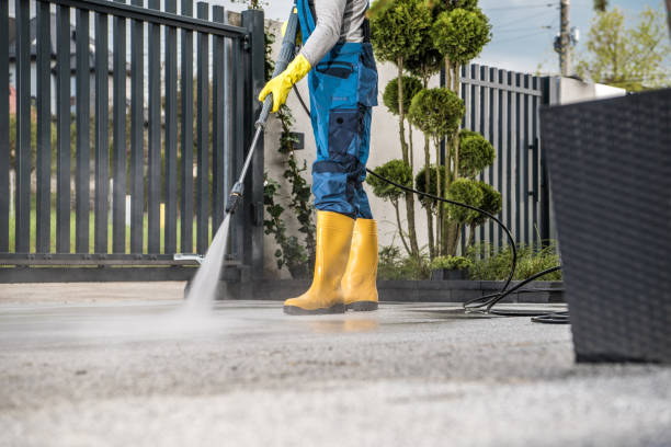 Best Graffiti Removal  in Franklin Furnace, OH